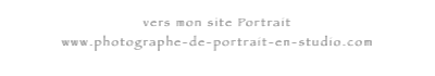 vers-mon-site-portrait